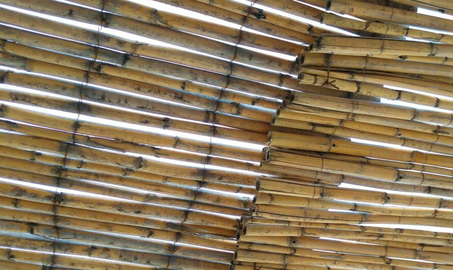 Quelle canisse en roseaux convient le mieux à votre pergola ?