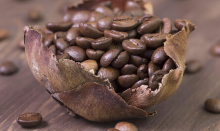Grains de café
